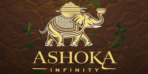 Ashoka Infinity-Buy Organic Jaggery Online India | Best Jaggery Masala